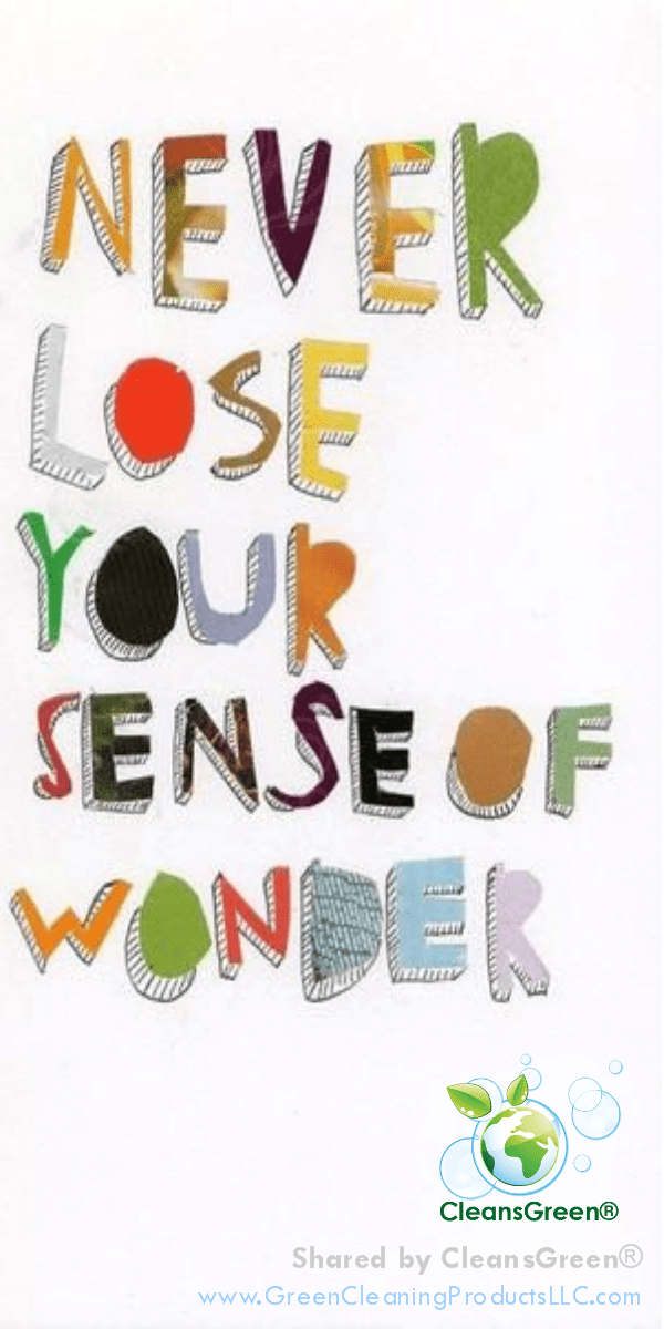 Never Lose Your Sense of Wonder ... Quote