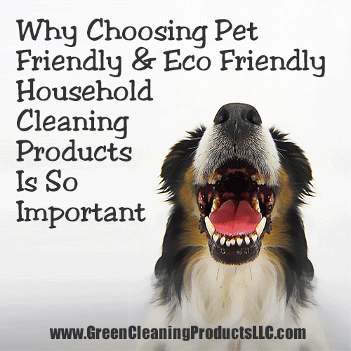 Why Choosing Pet Friendly and Eco Friendly Household Cleaning Products Is So Important