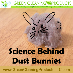 Science Behind Dust Bunnies