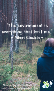 Quote - Albert Einstein 1