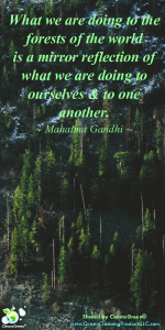 Quote - Mahatma Gandhi from Green Cleaning Prodcuts