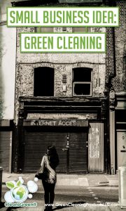 Small Business Idea Green Cleaning