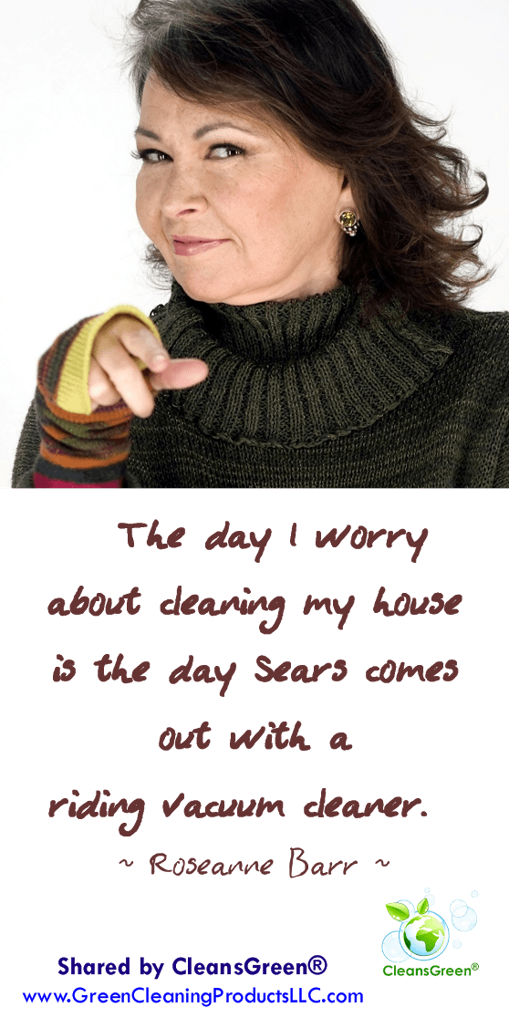 The day I worry about cleaning my house is the day Sears comes out with a riding vacuum cleaner. Roseanne Barr Quotes