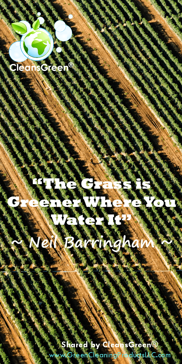 “The Grass is Greener Where You Water It,” as stated so eloquently | Neil Barringham Quote