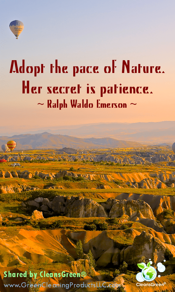 Adopt the pace of Nature. Her secret is patience. Ralph Waldo Emerson Quote