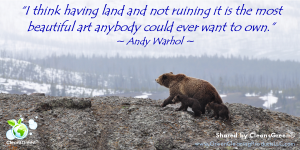 I think having land and not ruining it is the most beautiful art anybody could ever want to own.” - Warhol Quote