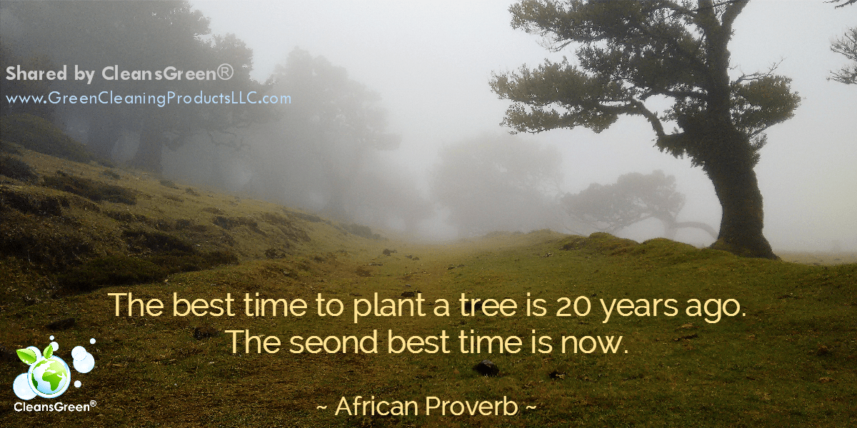 African Proverb: The best time to plant a tree is 20 years ago. The second best time is now