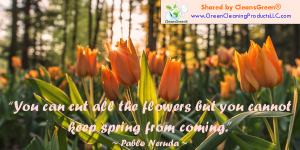 Pablo Neuda: You can cut all the flowers, but you cannot keep spring from coming