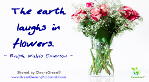 Ralph Waldo Emerson: The world laughs in flowers