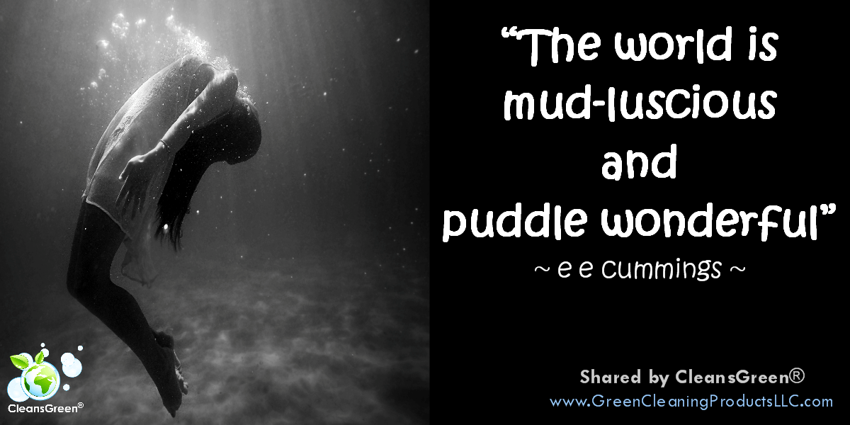 ee cummings: The world is mud-licious and puddle wonderful #quotes