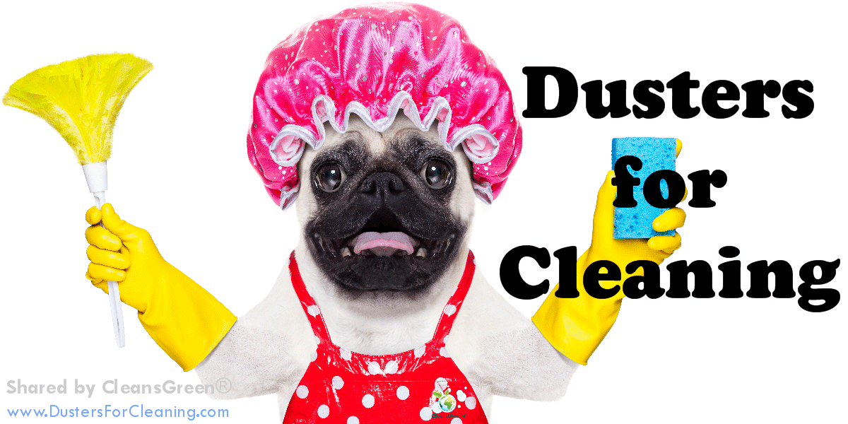 Best Dusters for Cleaning | Options Summarized by CleansGreen® ... There is a wide selection of cleaning tools called “dusters” that are available for the discerning cleaner.  Depending on the customized application will help to determine which duster is right for them.