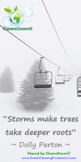 Storms Make Trees Have Deeper Roots - Dolly Parton Quotes