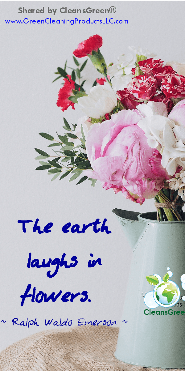 Ralph Waldo Emerson Quotes... The earth laughs in flowers #quotes