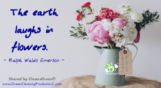 Ralph Waldo Emerson Quotes... The earth laughs in flowers #quotes