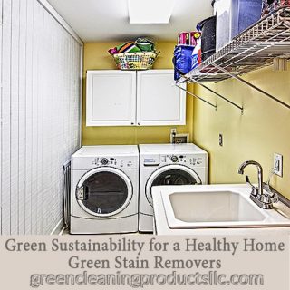 Green Sustainability for a Healthy Home | Green Stain Removers