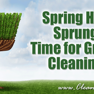 Spring Has Sprung | Time for Green Cleaning